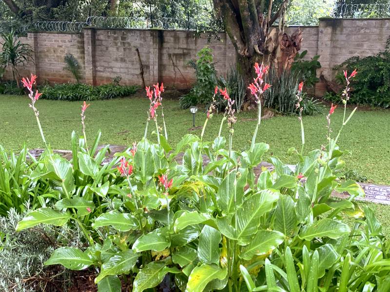 Naivasha Park - Gallery 24